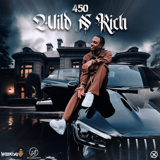 Wild n Rich audio by 450 feat. Weekday