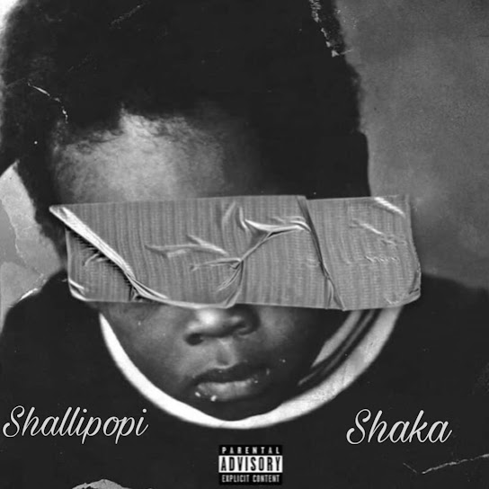 Shaka audio by Shallipopi