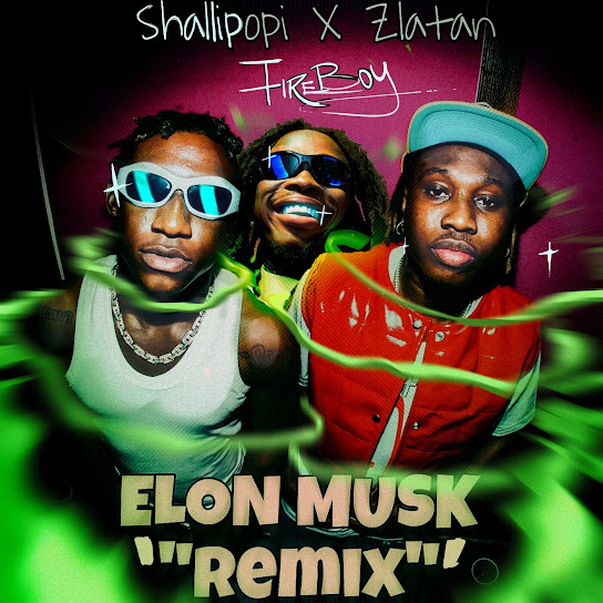 Elon Musk (Remix) audio by Shallipopi feat. Fireboy DML and Zlatan