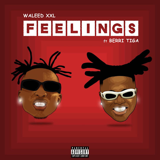 Feelings audio by WALEED XXL feat. Berri-Tiga