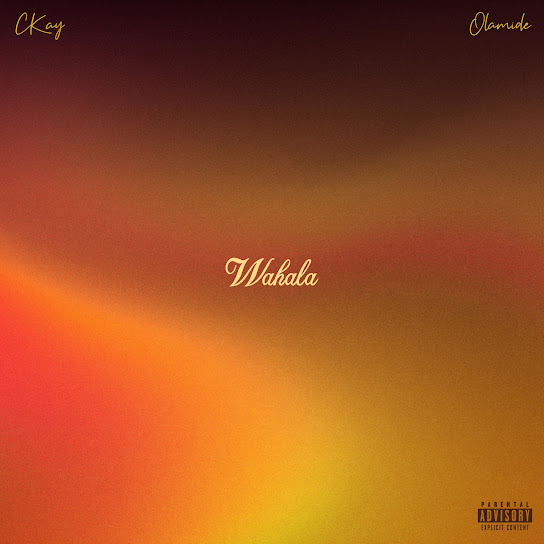 Wahala audio by CKay feat. Olamide