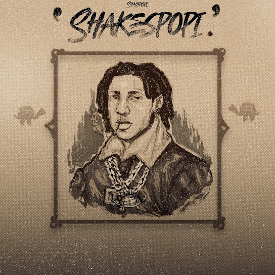 New Cat audio by Shallipopi