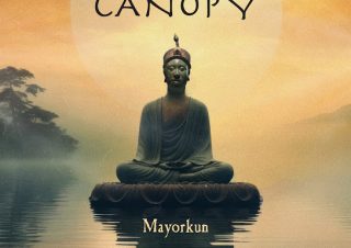Mayorkun – Under The Canopy
