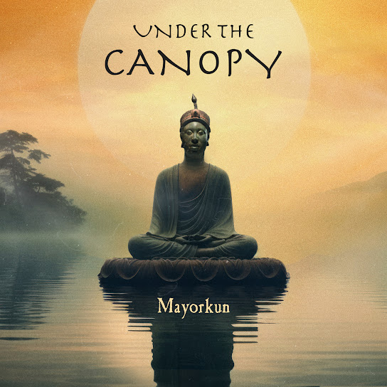 Under The Canopy audio by Mayorkun
