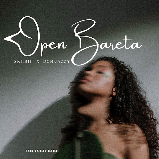 Skiibii ft. Don Jazzy – Open Bareta Artwork