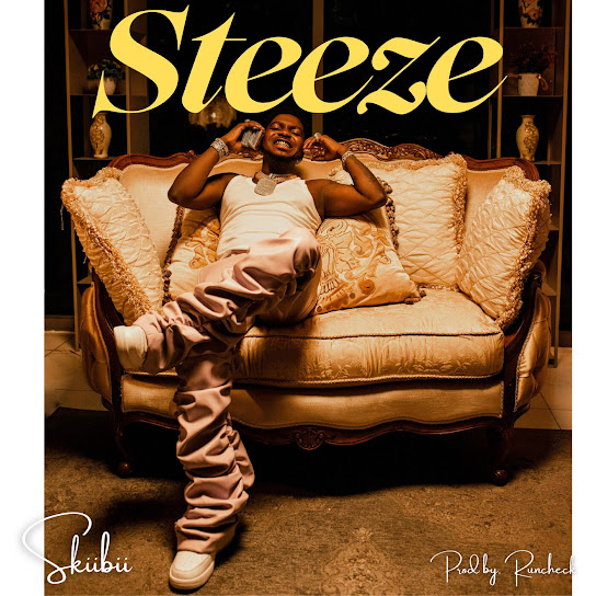 Steeze audio by Skiibii