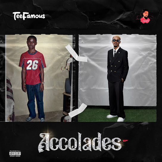Unbothered audio by TeeFamous