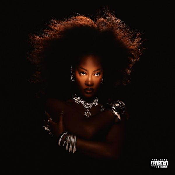 Turn Me Up audio by Tems