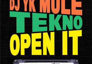 Dj Yk Mule ft. Tekno – Open It