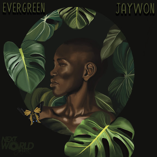 Aduke audio by Jaywon