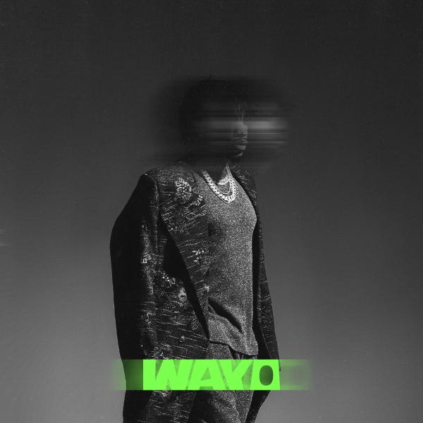 Wayo Lyrics audio by Tekno