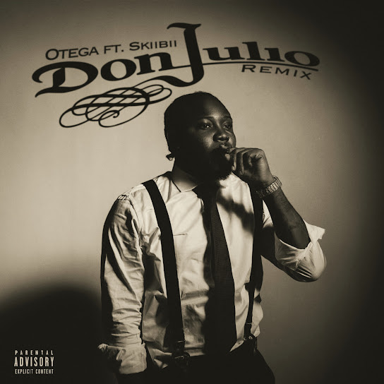 Don Julio (Remix) audio by Otega feat. Skiibii