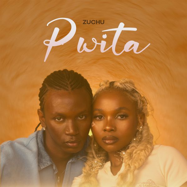 Pwita audio by Zuchu