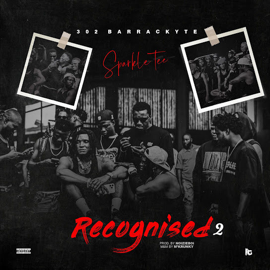 Sparkle Tee – Recognized 2 Artwork