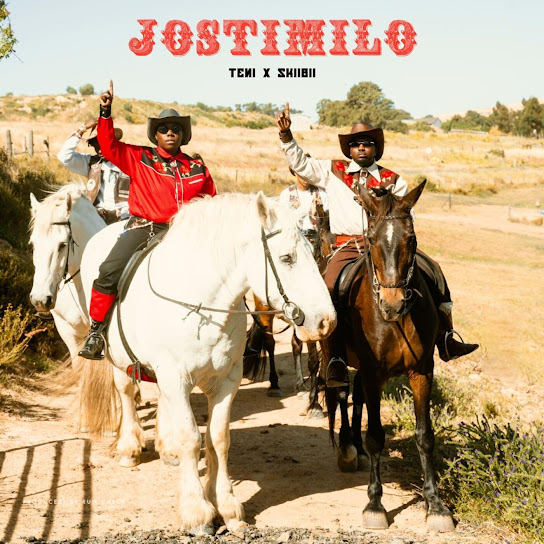 Teni – Jostimilo Ft. Skiibii Artwork