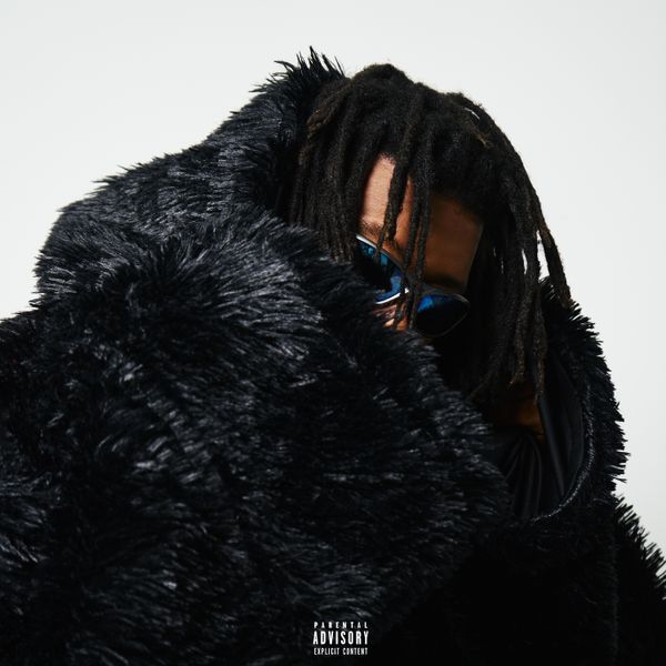 ASILALI audio by ANATII feat. Leandra.Vert, Ice Beats Slide and 031Choppa