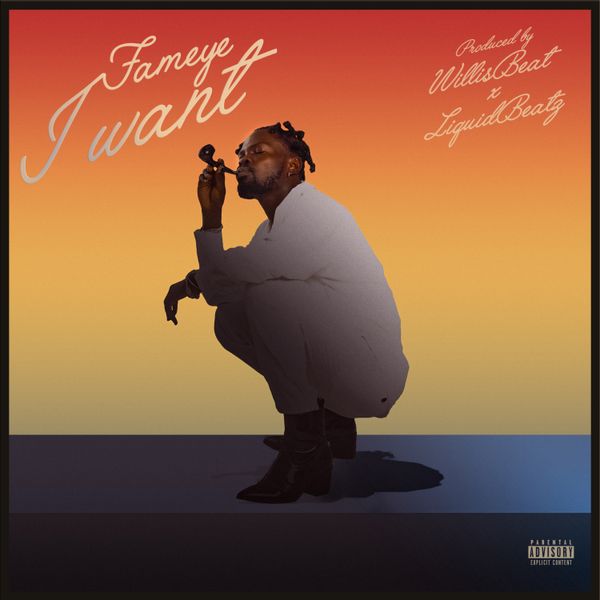I Want audio by Fameye