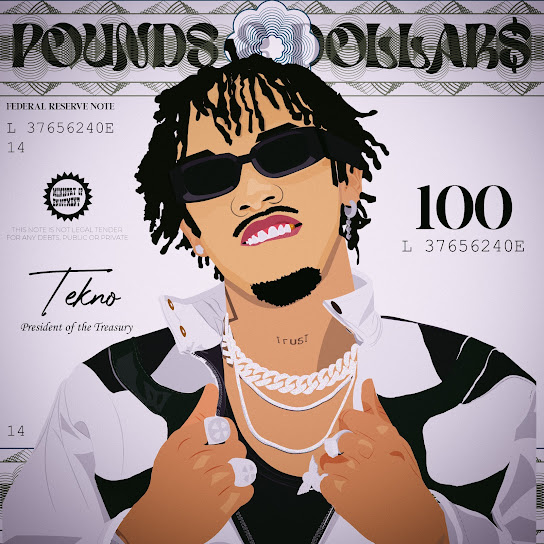POUNDS AND DOLLARS audio by Tekno