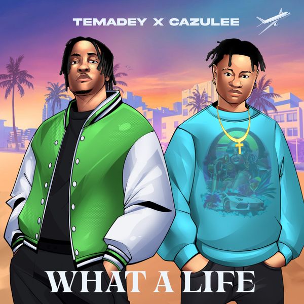WHAT A LIFE audio by Temadey feat. Cazulee