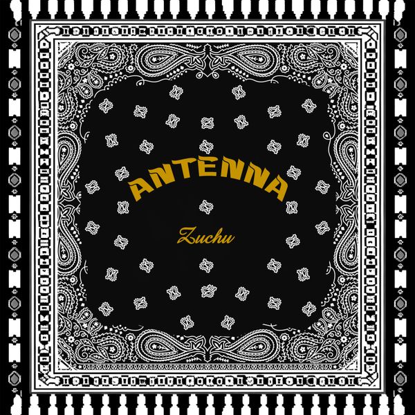Antenna audio by Zuchu