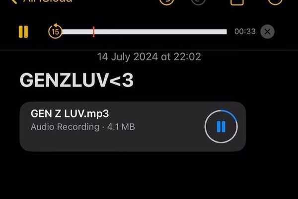 Gen Z Luv audio by Central Cee