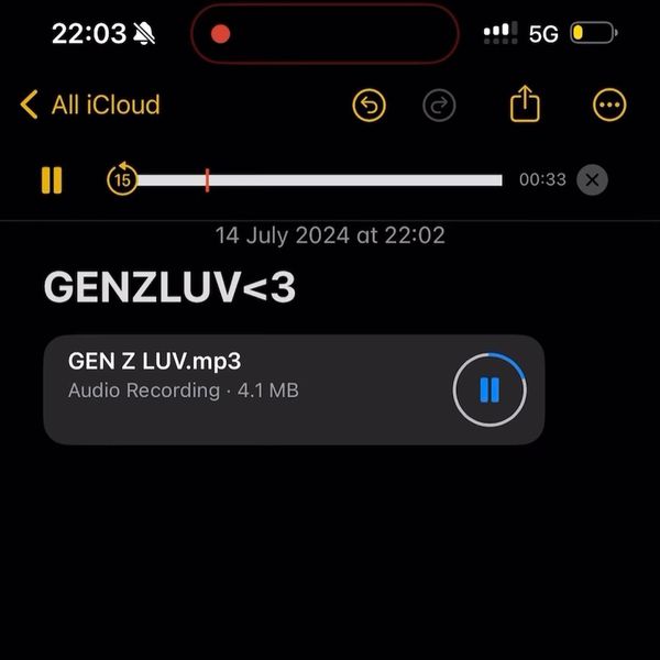 Gen Z Luv audio by Central Cee
