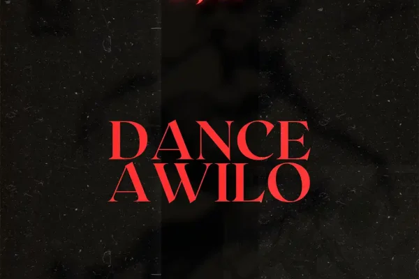D Jay – Dance Awilo Artwork