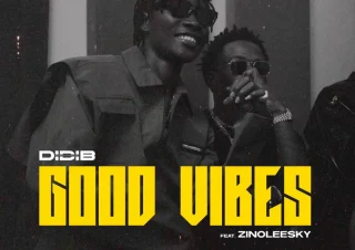Didi B – Good Vibes Ft. Zinoleesky