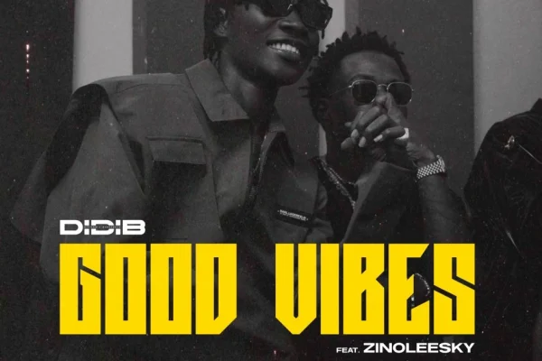 Good Vibes audio by Didi B feat. Zinoleesky