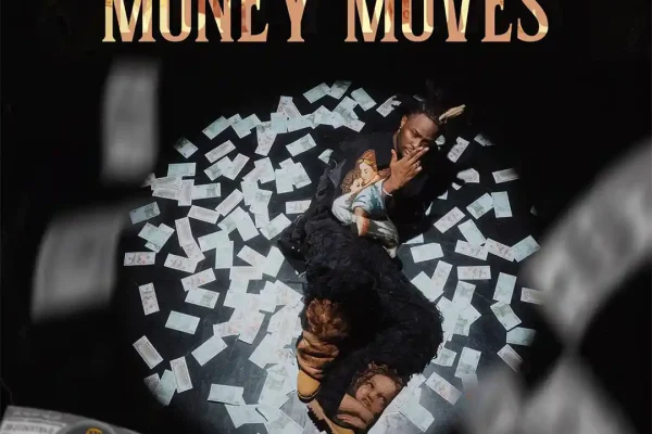 Money Moves audio by Fido